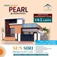 Palle Prasad photo