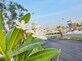 Bansi photo