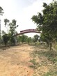 Saurabh Srivastava photo