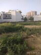 Madukar photo