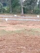 Asha Rani H photo