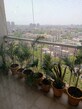 Rashmi photo