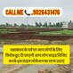 Akhilesh Yadav photo