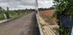 Pallavi S photo