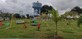 Pallavi S photo
