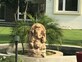 Ark Properties photo