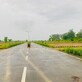 Hariom Pandey photo
