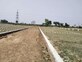 Pradeep Panday photo