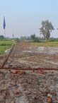 Pushpendra Singh photo