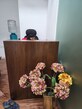 Deepika Bothra photo