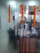 Ritik Pandey photo