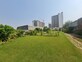 Satpal Singh photo