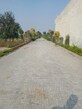 Vivek Mishra photo