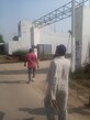 Asha photo