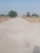 Asha photo