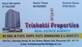 Trishakti Properties photo