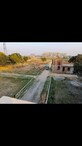 Mohmmad Arif photo
