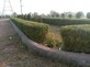 Jagdish photo