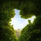 Yash Singh photo
