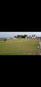 Sadhna Negi photo