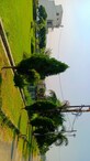 Man Mohan Mishra photo