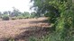 Matrashakti photo