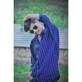 Saurabh Tiwari photo