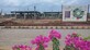 Swapna Rathod photo