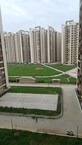 Rahul Thakur photo