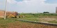 Chandresh Kumar photo