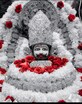 Ak Crest Reality photo