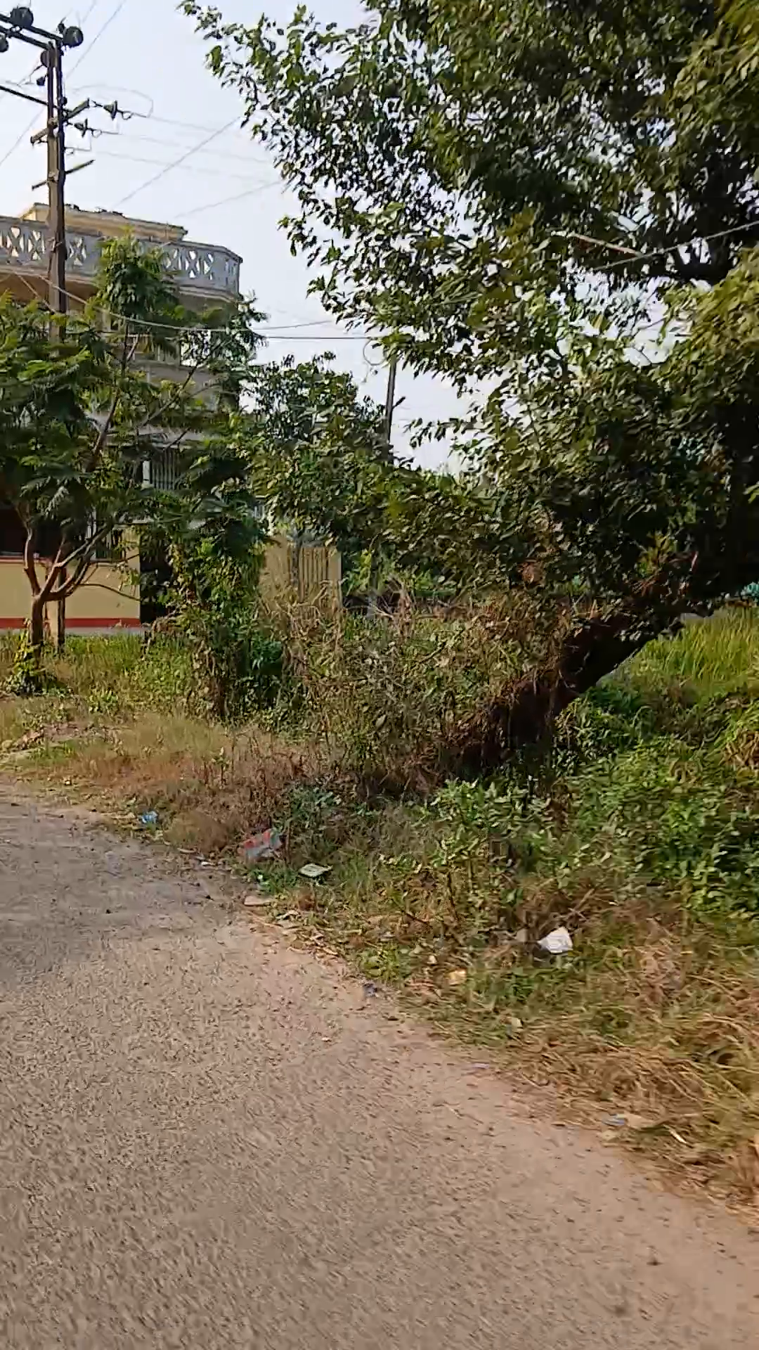 Pailan park
Plot sale
4 to 8 lakh
Joka pailan
7044666866