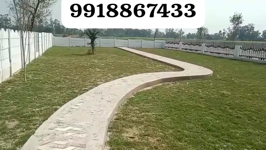 9918867433 