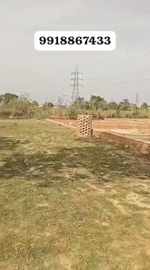 9918867433