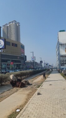 Commercial Project