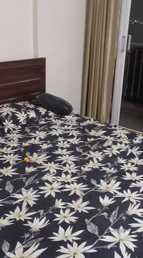 Society -- Dream Homes 
Location --  WAVE CITY NH-24 GHAZIABAD 
1 BHK 
Fully Furnished flat for rent