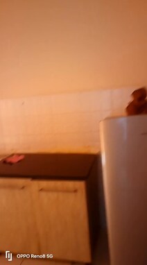 * *Available for rent* 
*Resort*
*2bhk semi*
*Middle floor* 
*@20k*