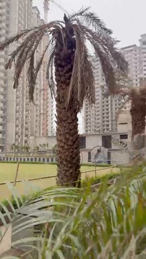 Near possession luxury Flats 