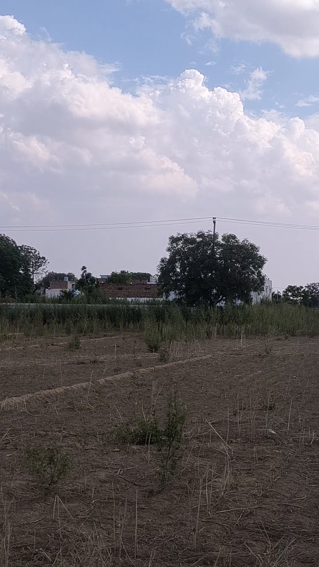 740Sqyrd Plots Available For Sale Pataudi Sec 1 