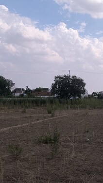 740Sqyrd Plots Available For Sale Pataudi Sec 1 
