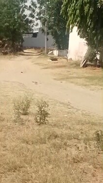 😲 Plotting K liye Best Location And Land Nearest Farukkhnagar 🫨