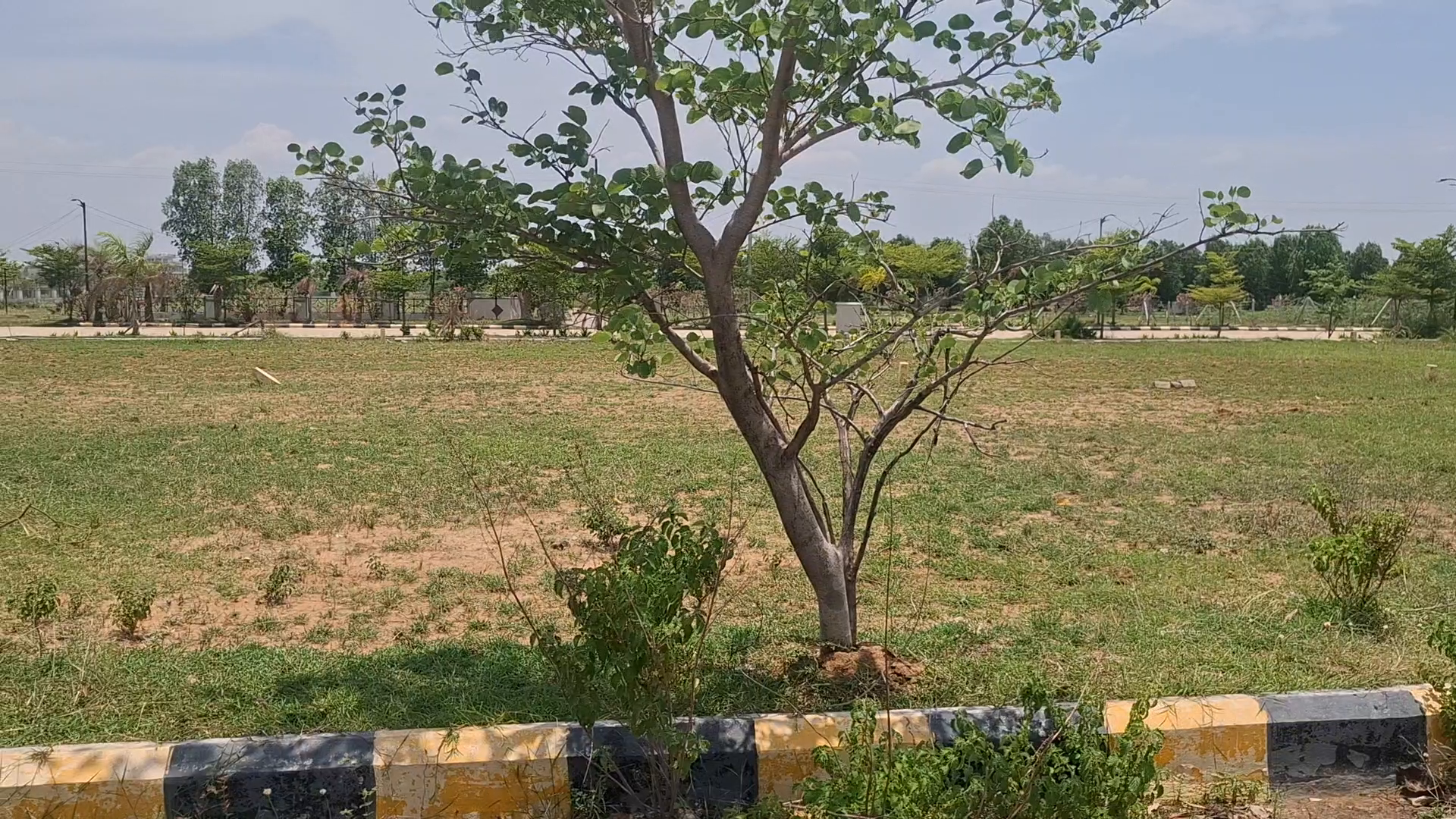 OPEN PLOTS FOR SALE @PEDDAPUR SANGAREDDY 