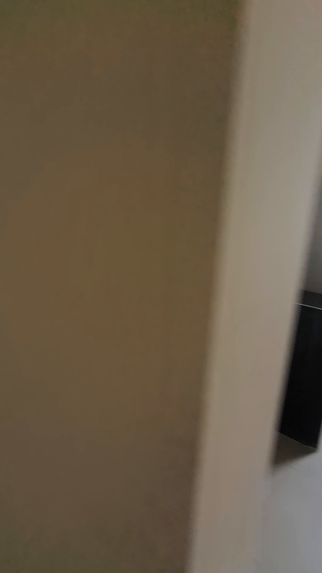 1 bhk for rent in pushpanjali.