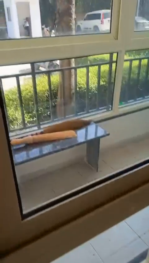 This Flat is located in Omaxe palm greens , greater Noida .
1103 sq.ft 
Ground floor
READY TO MOVE IN