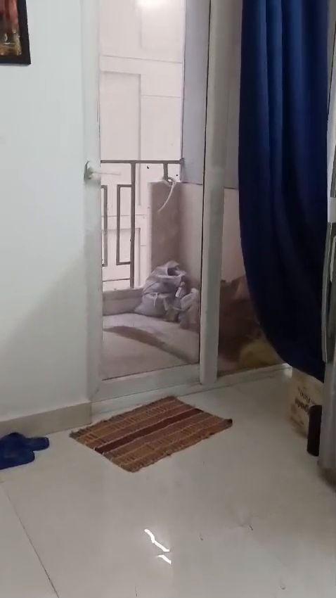 2bhk Ready to Move Signature Global Orchard Avenue Sec-93 Gurgaon Call 9711155463