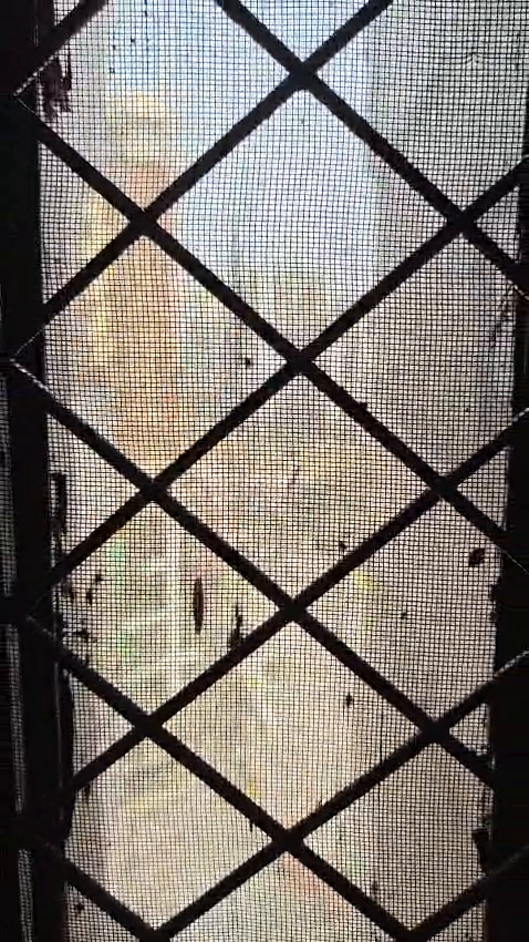 Ascent Savy villa de Phase 3 , Rajnagar extension Ghaziabad price 7000000