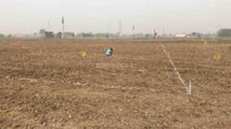 Plot For Resale in Bhagat Nagar Panipat  6562576