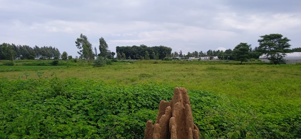 Plot For Sale in Swatantra Indraprastha Greens