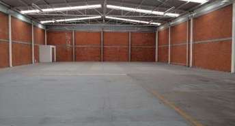 Commercial Warehouse 5000 Sq.Yd. For Rent In New Jakkanpur Patna 6725883