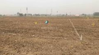 Plot For Resale in Balabhaupeth Nagpur  6673824